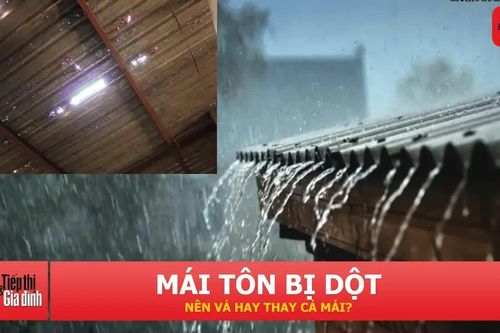 Mái tôn bị dột: Khi nào nên sửa, khi nào cần thay mới?