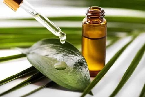 Không phải loại dầu tự nhiên nào cũng hợp với da, 7 lựa chọn đáng cân nhắc khi vào thu