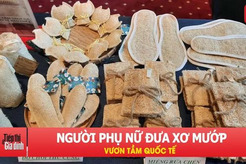 Xơ mướp Việt 'lên đời': Từ đồ chà nồi thành sản phẩm xuất khẩu