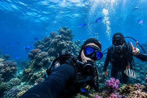 Biển nóng đe dọa những 'vườn san hô' ở đảo Jeju