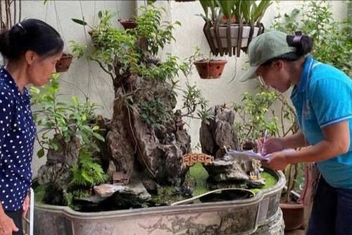 Xã Đan Phượng chú trọng vệ sinh môi trường, phòng chống sốt xuất huyết