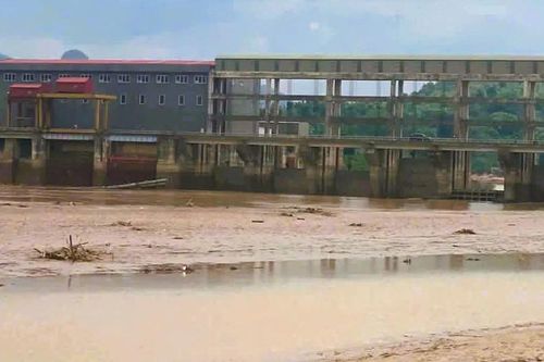 Làm rõ nguyên nhân hạ mực nước sông đột ngột khiến gần 10 tấn cá nuôi chết