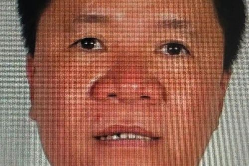 Đề nghị truy tố vắng mặt ông chủ Công ty cây xanh Công Minh