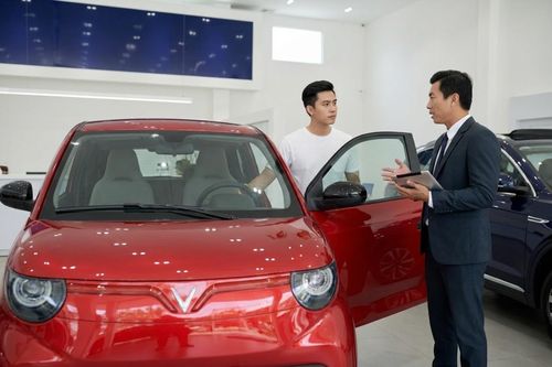 Xu hướng chọn ôtô điện của gia đình trẻ Việt đang thay đổi ra sao?