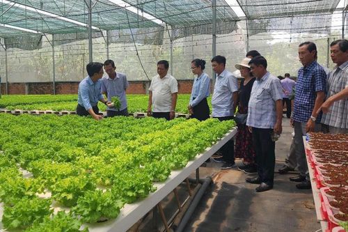 Dự kiến 18 lĩnh vực NN&MT người có chức vụ không được thành lập doanh nghiệp sau khi thôi chức