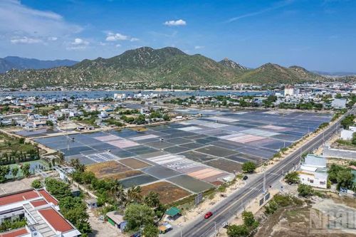 [Ảnh] Vị mặn của nắng, gió: Nhịp sống hối hả trên những cánh đồng muối nam Khánh Hòa