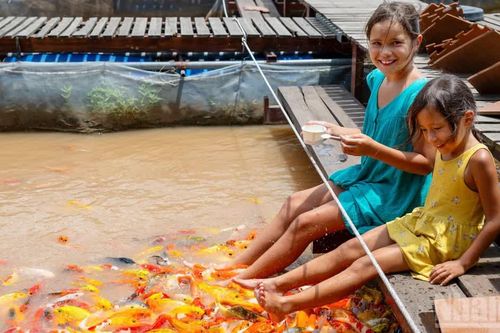 [Ảnh] Cồn Sơn - nơi mộc mạc níu chân du khách