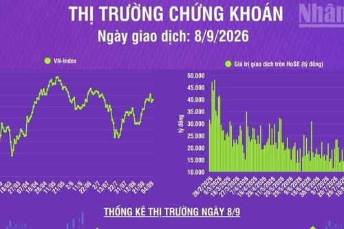 [Infographic] Chứng khoán ngày 8/9: VN-Index tăng 8,8 điểm, khối lượng giao dịch khớp lệnh giảm 19,7% so phiên trước