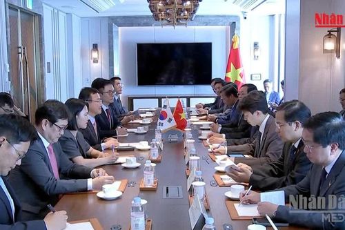 [Video] Quốc hội Việt Nam luôn đồng hành cùng cộng đồng doanh nghiệp Hàn Quốc