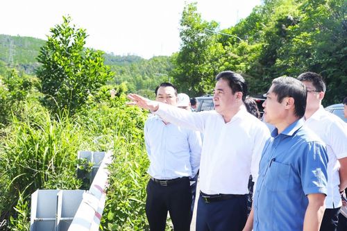 Phó Bí thư Thường trực Thành ủy Đà Nẵng làm việc với DSEZA