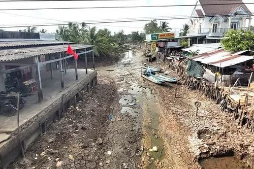 Cà Mau: Tác động của El Nino làm khoảng 13.770 hộ dân có nguy cơ thiếu nước sinh hoạt