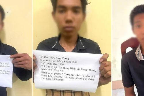 Công an Đồng Nai bắt nhóm thanh niên chém người cướp tài sản