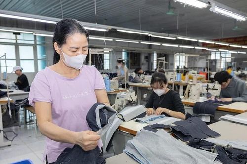 Gắn đào tạo nghề với sinh kế bền vững