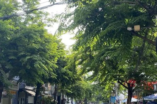 Dự báo thời tiết ngày 9/9: Bắc Bộ chuyển mát, có mưa từ chiều tối