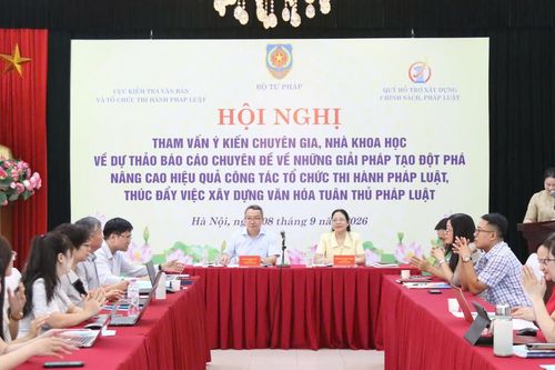 Tham vấn về dự thảo Báo cáo chuyên đề về những giải pháp đột phá nâng cao hiệu quả tổ chức thi hành pháp luật