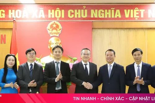 Hà Tĩnh mở rộng cơ hội kết nối, thu hút đầu tư từ Nhật Bản