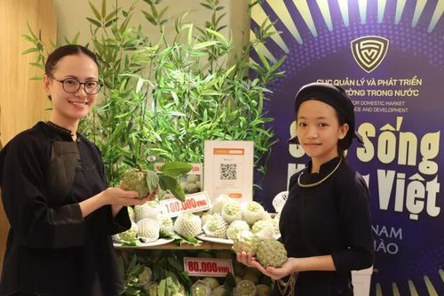 Chỉ dẫn địa lý: Từ bảo hộ danh tiếng đến 'tấm hộ chiếu' đưa nông sản Việt vươn xa