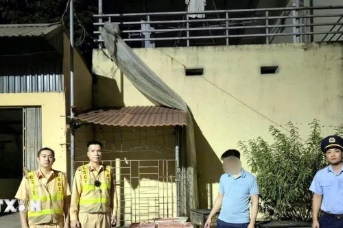 Quảng Ninh phát hiện các vụ vận chuyển hàng nghìn con vịt, gà không rõ nguồn gốc