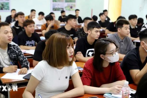 Mỗi lao động Việt chi bình quân 125,7 triệu đồng để đi làm việc ở nước ngoài