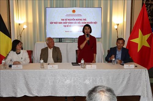 Kết nối trí tuệ Việt toàn cầu: Việt Nam chuyển mình, kiều bào sẵn sàng đồng hành
