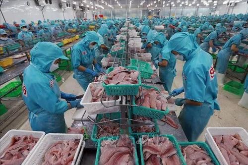 Thủy sản trước sức ép tăng trưởng và cạnh tranh bền vững