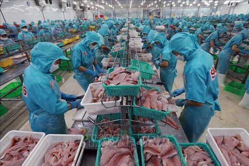 Thủy sản trước sức ép tăng trưởng và cạnh tranh bền vững