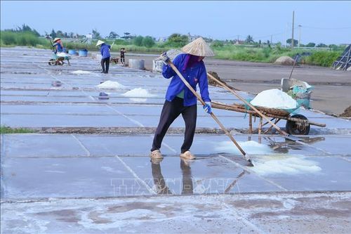 Nâng giá trị từ hạt muối truyền thống