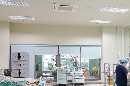 Cảnh báo bệnh não hoại tử cấp tính liên quan đến cúm A
