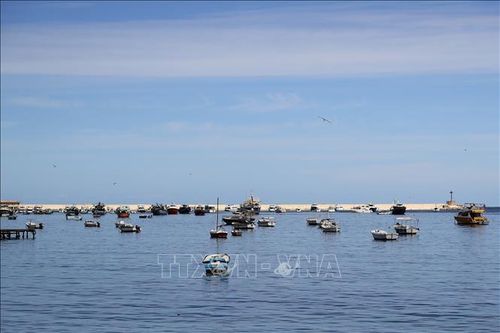 Ai Cập và Oman nghiên cứu mở tuyến vận tải biển trực tiếp