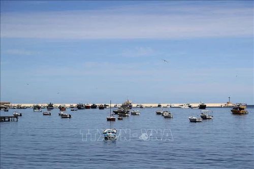 Ai Cập và Oman nghiên cứu mở tuyến vận tải biển trực tiếp