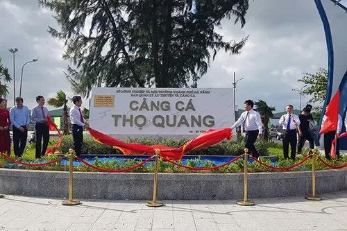 Đà Nẵng: Nghiên cứu chuyển đổi chức năng cảng cá Thọ Quang