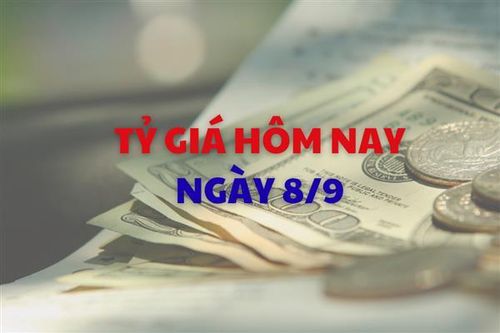 Tỷ giá hôm nay 8/9: Giá USD đồng loạt giảm