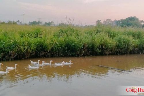 Vệ tinh 'soi' điểm nóng phát thải mê-tan trên đồng ruộng