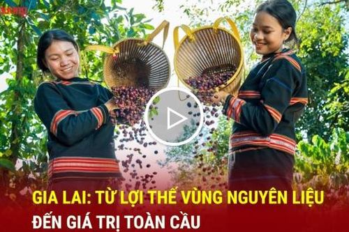 Gia Lai: Từ lợi thế vùng nguyên liệu đến giá trị toàn cầu