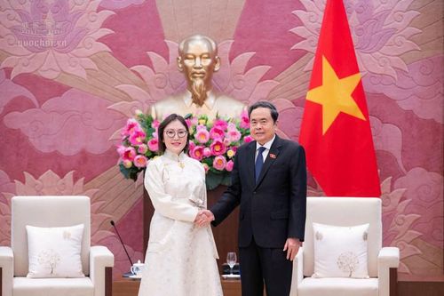 Động lực củng cố quan hệ đối tác toàn diện Việt Nam - Mông Cổ