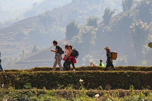 8 tháng năm 2026, Việt Nam đã đón hơn 1 triệu lượt khách Nga