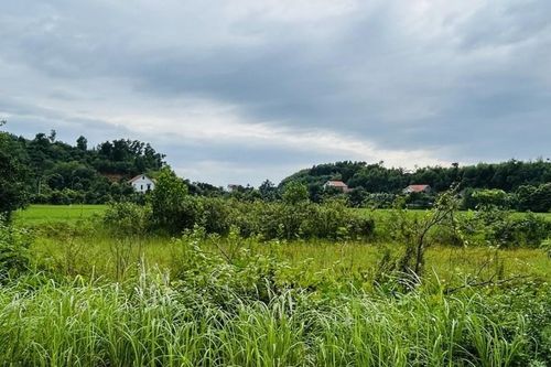 Cơ chế hỗ trợ người sử dụng đất khi triển khai dự án điện hạt nhân