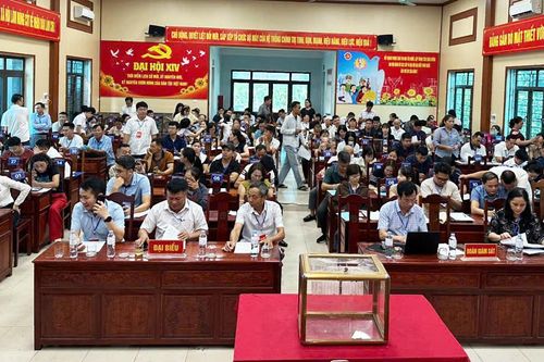 Xã Tam Tiến: Đấu giá quyền sử dụng đất ở thu chênh lệch gần 18 tỷ đồng