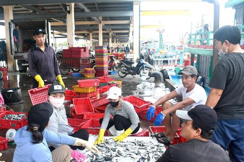 Quyết liệt gỡ 'thẻ vàng' IUU