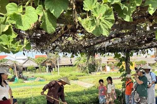 Liên kết nâng cao giá trị nông sản