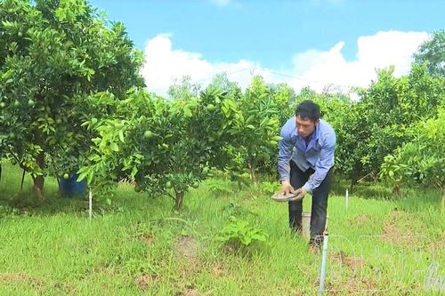 Mã số vùng trồng - 'chìa khóa' mở rộng thị trường nông sản