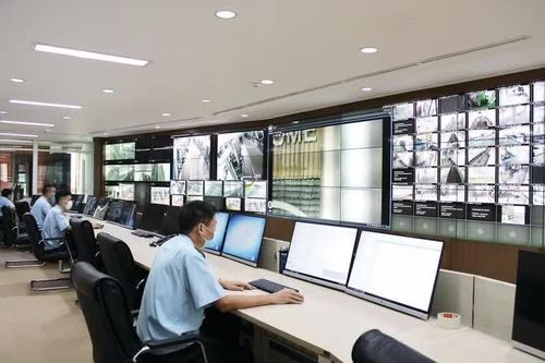 Mua hàng nước ngoài giá trị nhỏ có thể được xác thực qua VNeID thế nào?