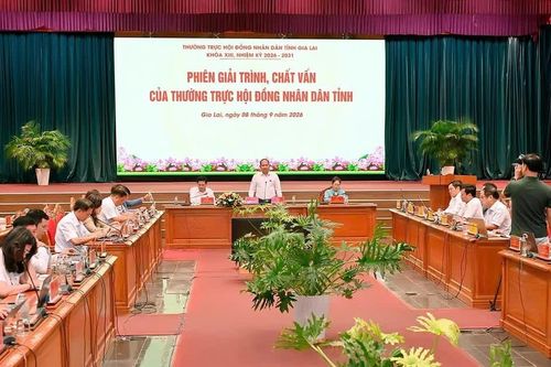 Gỡ vướng cung ứng xi măng, siết chặt quản lý tài sản công