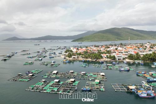 Xã Đại Lãnh: Tăng tốc để đạt mục tiêu tăng trưởng năm 2026