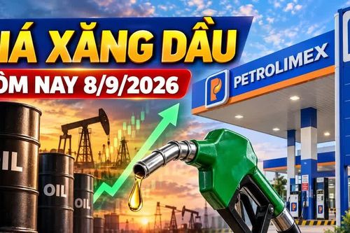 Giá xăng dầu hôm nay 8/9: Dầu thế giới leo cao, áp lực tăng giá trong nước