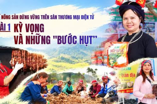 Bài 1: Kỳ vọng và những "bước hụt”