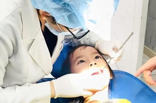 Ra đời nền tảng hỗ trợ so sánh chất lượng nha khoa tại Việt Nam