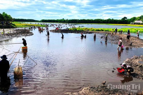 Độc đáo ngày hội 'phá Trằm'