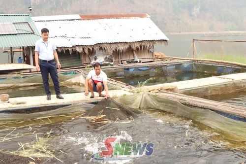 Tường Hạ đẩy mạnh sản xuất hàng hóa