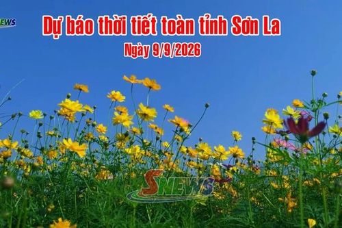 Dự báo thời tiết toàn tỉnh Sơn La ngày 9/9/2026